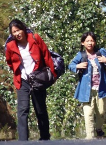 欧美人与动物zozo